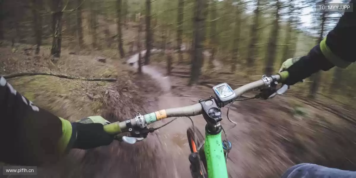 ⚽️全球赛事同步,见证每一个辉煌瞬间!